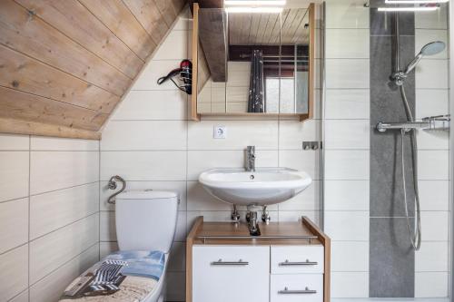 a small bathroom with a sink and a toilet at Ferienhaus Elbidylle in Bachenbrock