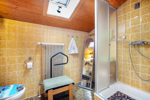 a bathroom with a shower and a toilet and a sink at Schaumann’s Hüs in Immenstadt im Allgäu