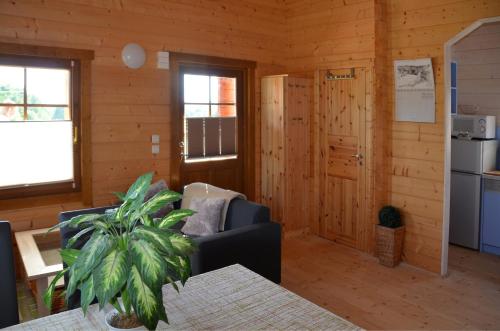 a living room with a couch and a table at Ferienhaus Gross Nemerow in Groß Nemerow