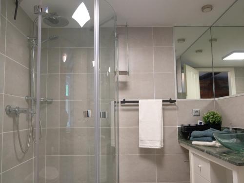 a bathroom with a shower with a glass door at Beim Bildhauer Karl F in Trendelburg
