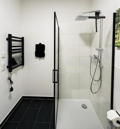 ein weißes Badezimmer mit Dusche und Glastür in der Unterkunft Fewo-Romuli in Eggesin