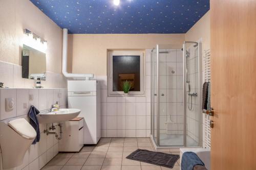 a bathroom with a blue ceiling with stars on it at Ferienwohnung 1 Hof Schäfer in Waldeck