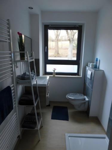 a small bathroom with a toilet and a window at Clausberg Ferienwohnungen in Gerstungen