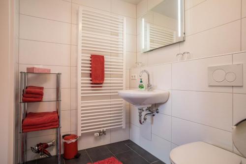 a white bathroom with a sink and a toilet at Ferienhof Weber Wohnung Fichte in Neukirch