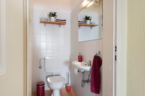 a small bathroom with a toilet and a sink at Ferienhaus Jadeblick I I in Dangast
