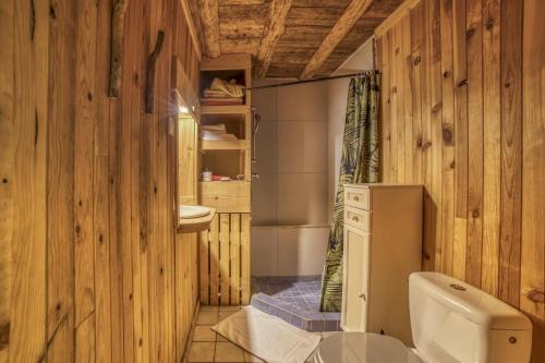 a bathroom with wooden walls and a toilet and a sink at Anna-purna in Arâches-la-Frasse