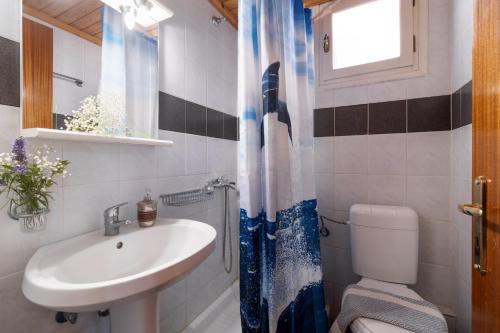 a bathroom with a sink and a toilet at Apostolos Apartment 4 in Póndi