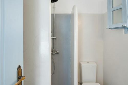 a bathroom with a toilet and a shower at Pico Bello Patmos 24 in Patmos
