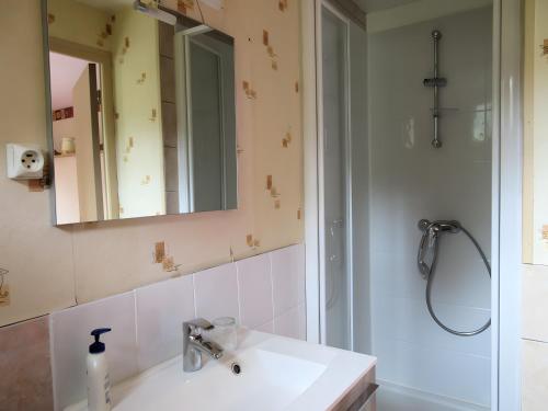 a bathroom with a sink and a mirror at Gite paysan lecarpentier in Fontenay