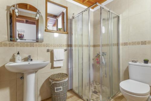 a bathroom with a shower and a toilet and a sink at Las Casas del Bisa in Garachico