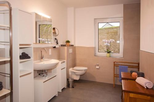 a bathroom with a toilet and a sink and a window at Ferienwohnung Mertens in Schmallenberg