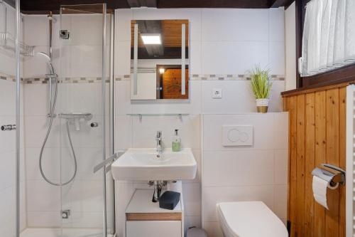 a bathroom with a sink and a shower and a toilet at Ferienhaus Bussardnest in Tennenbronn