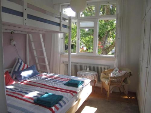 a bedroom with a bunk bed and a ladder at Apartment Am Birnbaum in Reutlingen