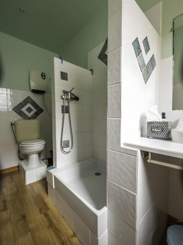 a bathroom with a shower and a toilet at studio Le Cabanon in Doussard