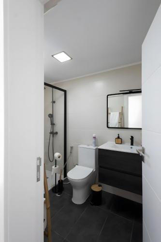 a bathroom with a toilet and a sink and a mirror at Casa dos Avós in Santa Eulália
