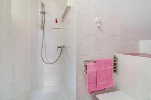 a bathroom with a shower and a pink towel at Bodenseeblick in Meersburg