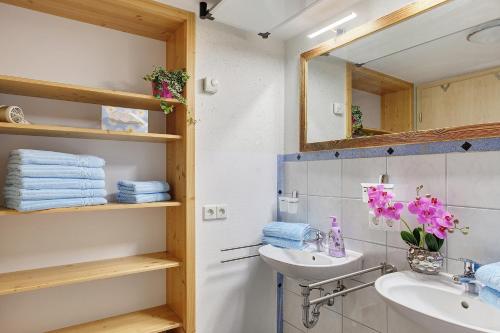 a bathroom with a sink and a mirror at Alte Schmiede in Feldberg