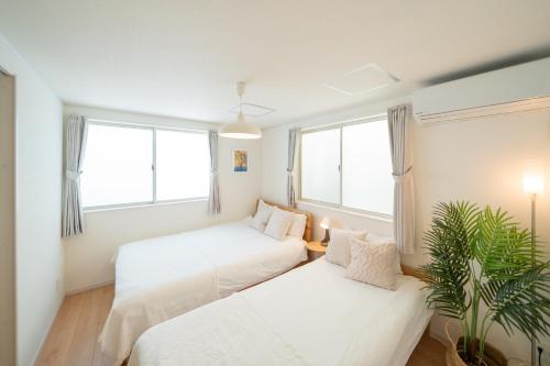 two beds in a room with windows and a plant at 照間Terumaの美しい海と太陽 Soleが目前に広がる和室ありの宿 TERUSOLEテルソーレ in Uruma