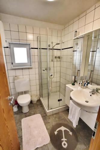 a bathroom with a shower and a toilet and a sink at Ferienhaus Uslar Gmbh Uslar in Uslar
