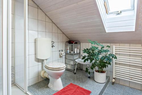 a bathroom with a toilet and a sink at Haus am Mühlenbach in Hilzingen