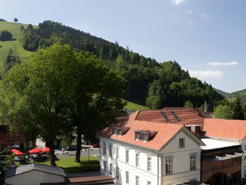 a white building with a red roof in front of a mountain at Ferienwohnung Dietsche Todtnau in Todtnau