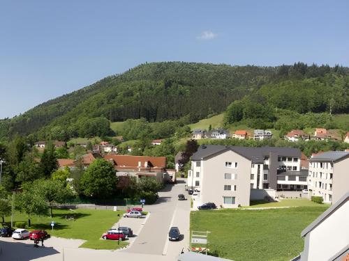 a small town with a mountain in the background at Ferienwohnung Dietsche Todtnau in Todtnau