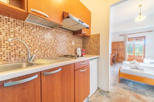 a kitchen with wooden cabinets and a sink at Arianna Studio Ground Floor 8 in Paleokastritsa