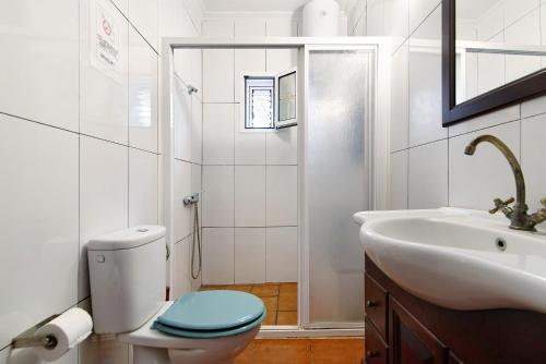 a bathroom with a toilet and a sink at Vivienda V Torres 4 in Vega de San Mateo