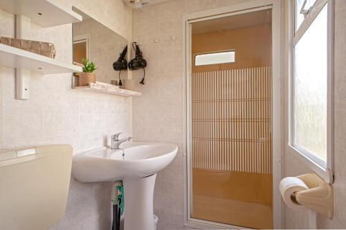 a bathroom with a sink and a toilet and a shower at Oasis on the river 2 in Marina di Pisa
