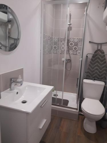 a bathroom with a shower and a toilet and a sink at App de caractère Centre Joigny Z1 in Joigny