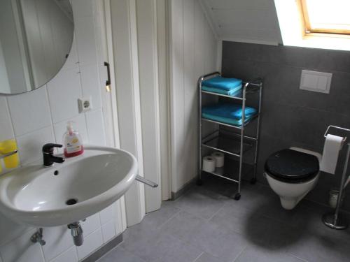 a bathroom with a sink and a toilet and a mirror at Ferienwohnung an der Müritz in Klink