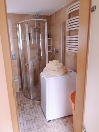 a bathroom with a shower and a refrigerator at Ferienhaus Waldblick in Reinharz