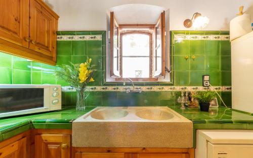 a green kitchen with a sink and a microwave at Ca La Rosalia in El Pla de Manlleu