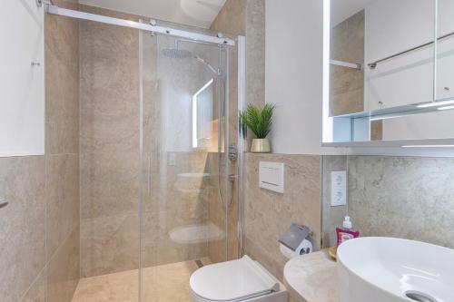 a bathroom with a shower and a toilet and a sink at Ferienwohnung Reichenau in Reichenau