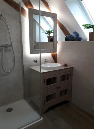 a bathroom with a sink and a shower with a mirror at Chambres d'hôtes Chez Mathilde in Eaux-Puiseaux