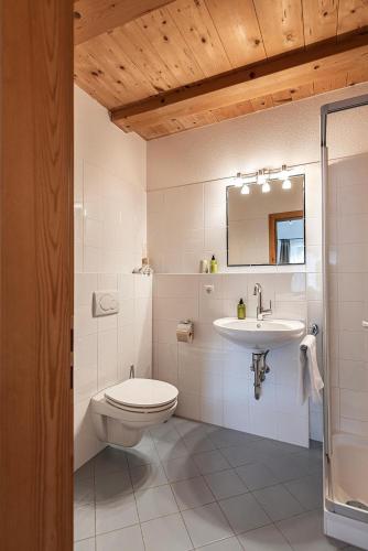 a bathroom with a toilet and a sink at Schrotthof in Feldthurns