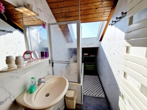 a small bathroom with a sink and a shower at Le Gite Fleuri in Hazelbourg