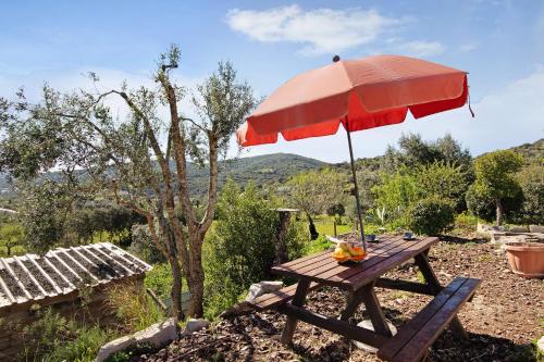 a picnic table with an umbrella on top of it at Casa Tibagota in São Brás de Alportel