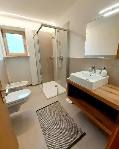 a bathroom with a sink and a shower and a toilet at Fröhlichhof Wohnung Apfelblüte in Lagundo