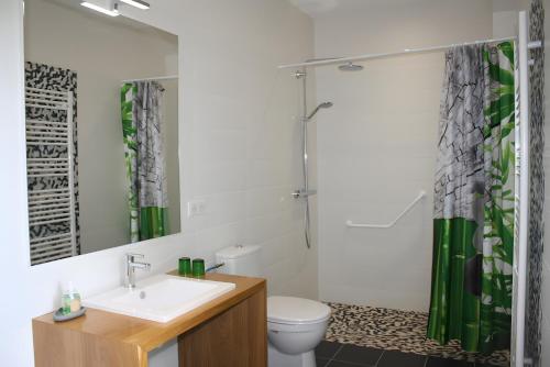a bathroom with a toilet and a sink and a shower at Ferme De Berteillé in Castérat-Bouzet