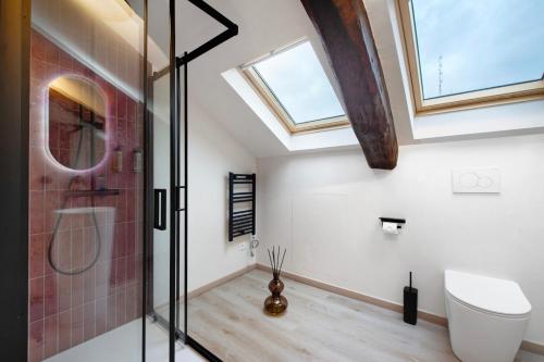 a bathroom with a skylight and a shower at La Scaletta in Biella