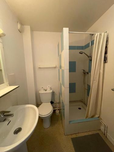 a bathroom with a toilet and a shower and a sink at Hyper centre, rue piétonne, calme in Dijon