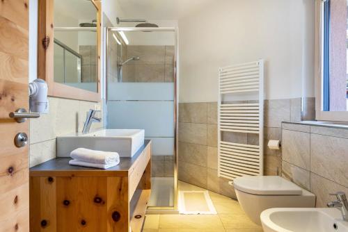 a bathroom with a sink and a toilet at Apartments Marialisa Superior Orchi in Chiusa