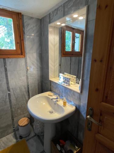 a bathroom with a sink and a mirror at Divas Gartenhaus in Vasilítsion