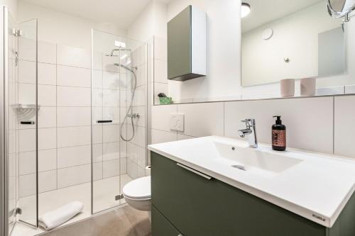 a bathroom with a sink and a toilet and a shower at Grötacker Wohnung 6 in Husby