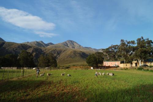 Lanskap alam di dekat farm stay