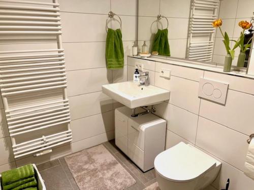 a bathroom with a sink and a toilet and a mirror at Fewo Tannenduft - Freudenstadt in Freudenstadt