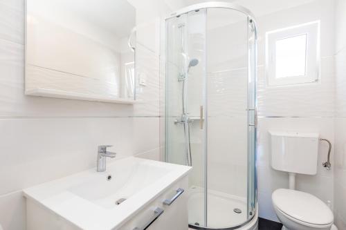 a bathroom with a shower and a sink and a toilet at Holiday House Isabella in Linardići
