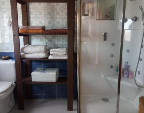 a bathroom with a shower and a toilet and towels at Villa Lukita in Cangas de Morrazo