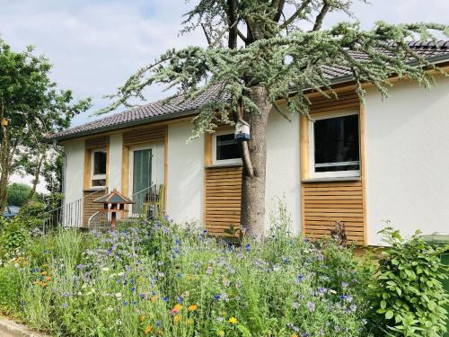 a house with flowers in front of it at Ferienhaus Urwald in Hofgeismar